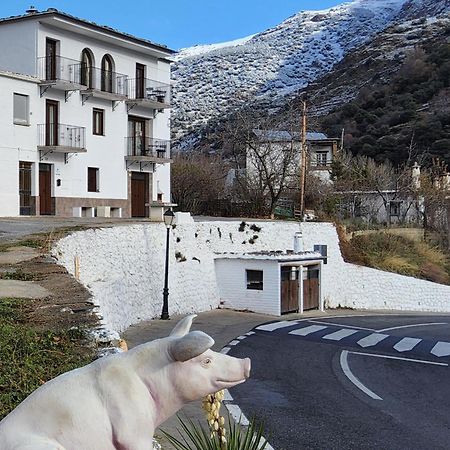 Alojamiento Rural Casa Clara La Pescaora Trevélez Εξωτερικό φωτογραφία