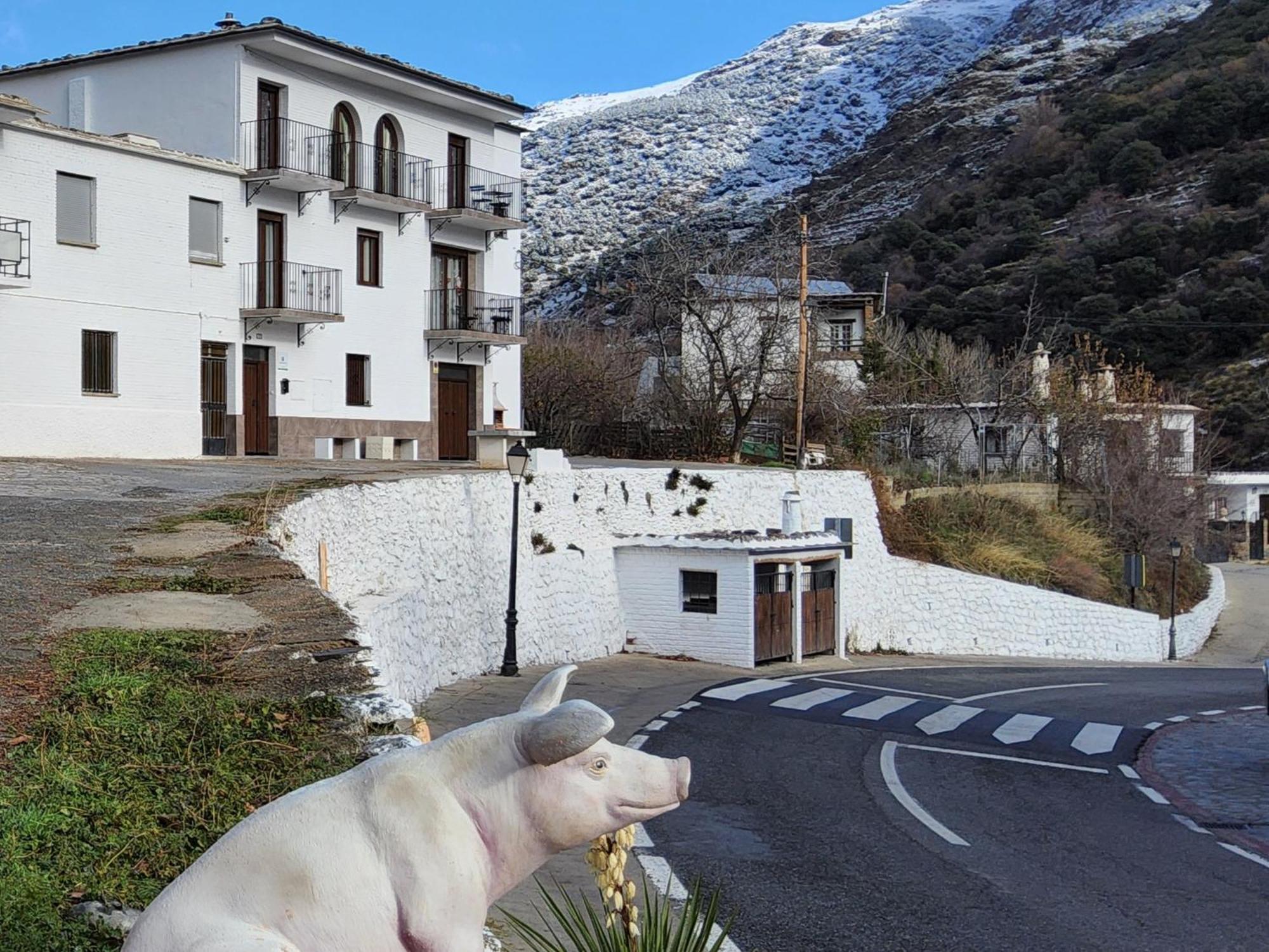 Alojamiento Rural Casa Clara La Pescaora Trevélez Εξωτερικό φωτογραφία