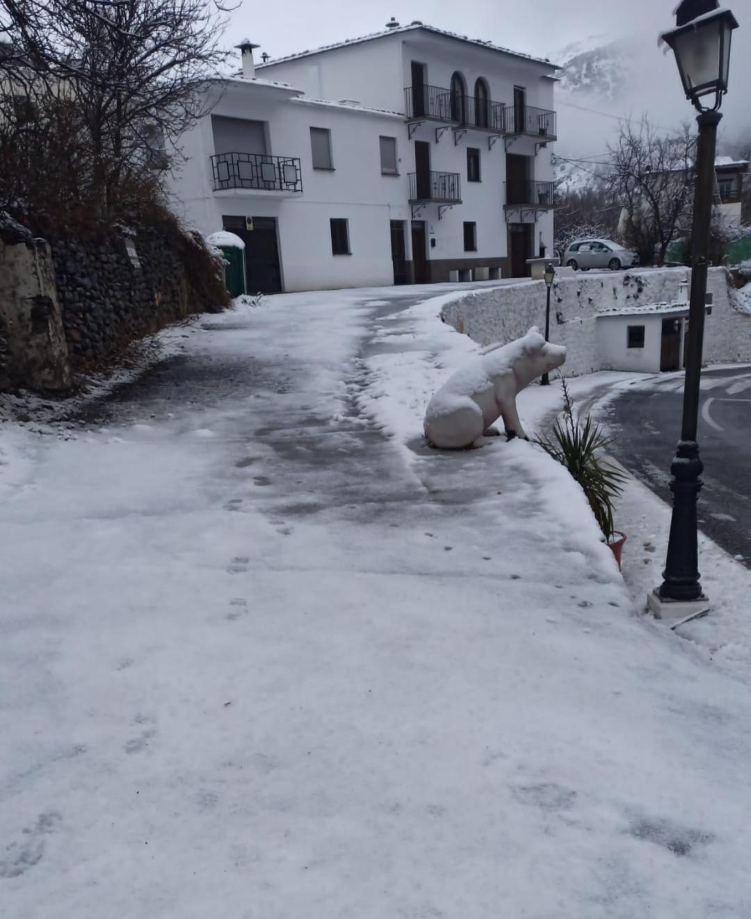 Alojamiento Rural Casa Clara La Pescaora Trevélez Εξωτερικό φωτογραφία