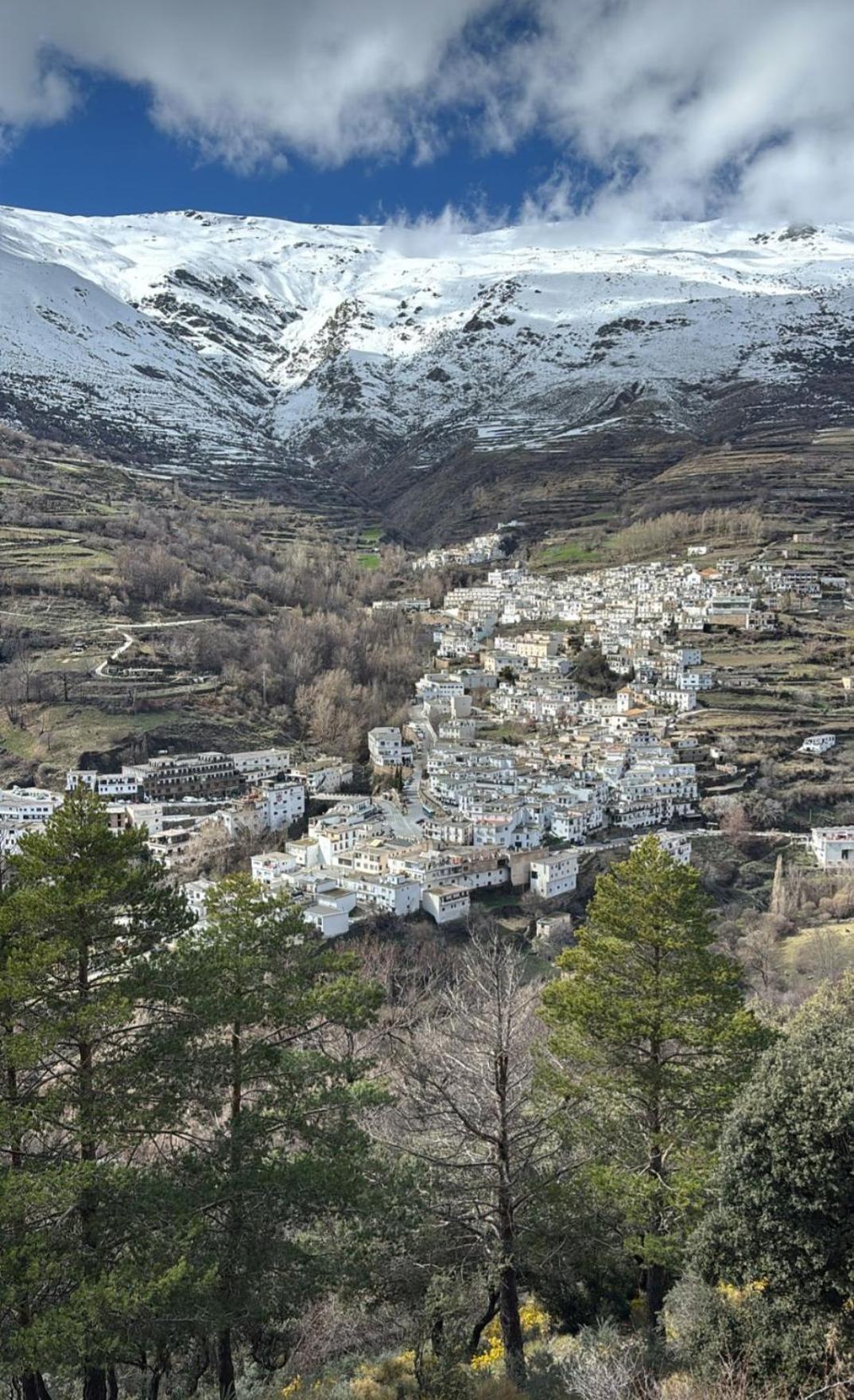 Alojamiento Rural Casa Clara La Pescaora Trevélez Εξωτερικό φωτογραφία